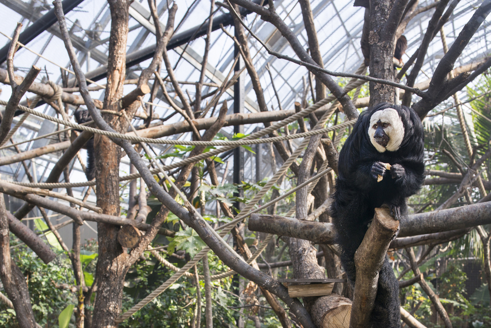 13-PARIS_Zoo ©Martin Argyroglo (7)-5fd74c18d606b.jpeg